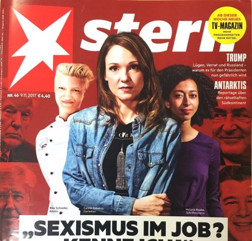 stern magazine 2017 Nov